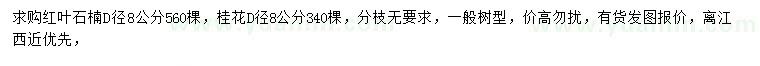 求購地徑8公分紅葉石楠、桂花