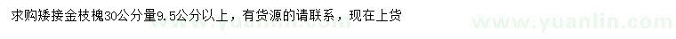求購30量9.5公分以上金枝槐