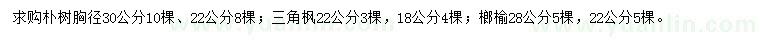 求購樸樹、三角楓、榔榆28