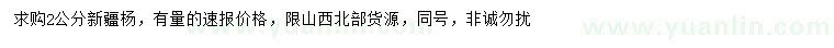 求購2公分新疆楊