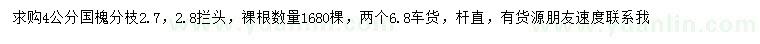 求購4公分國槐