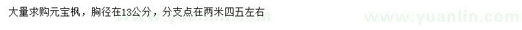 求購(gòu)胸徑13公分元寶楓