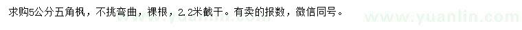 求購5公分五角楓