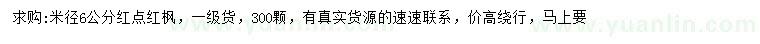 求購米徑6公分紅點(diǎn)紅楓