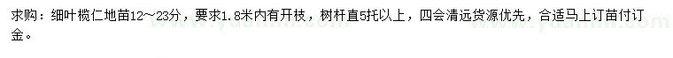 求購12-23公分細葉欖仁