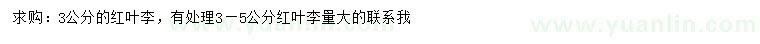 求購3-5公分紅葉李