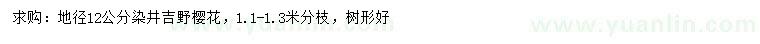 求購(gòu)地徑12公分染井吉野櫻