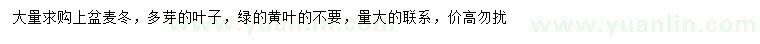 求購(gòu)麥冬