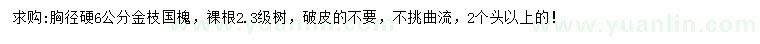 求購胸徑6公分金枝國(guó)槐