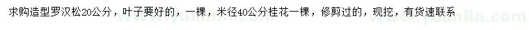 求購20公分造型羅漢松、米徑40公分桂花