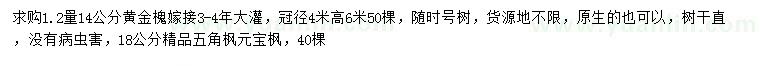 求購(gòu)黃金槐、五角楓、元寶楓