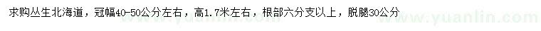 求購(gòu)高1.7米左右叢生北海道黃楊