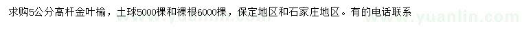 求購5公分金葉榆