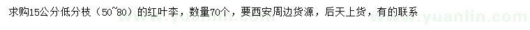 求購15公分紅葉李