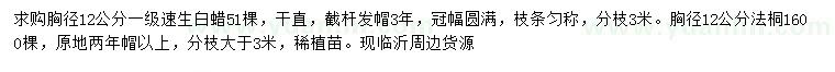 求購胸徑12公分速生白蠟、胸徑12公分法桐