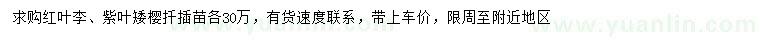 求購紅葉李、紫葉矮櫻