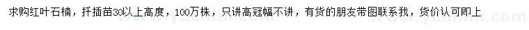 求購高30公分以上紅葉石楠