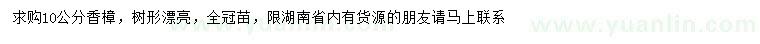 求購(gòu)10公分香樟