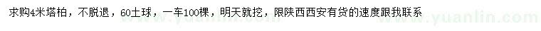 求購4米塔柏