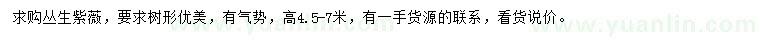 求購(gòu)高4.5-7米叢生紫薇