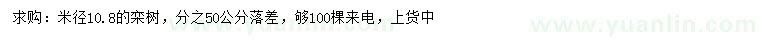 求購米徑10.8公分欒樹