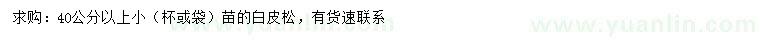求購40公分以上白皮松