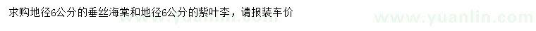 求購(gòu)地徑6公分垂絲海棠、地徑6公分紫葉李