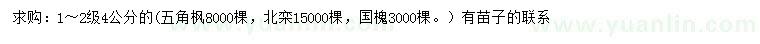 求購五角楓、北欒、國槐