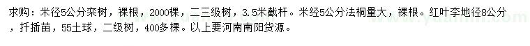 求購欒樹、法桐、紅葉李