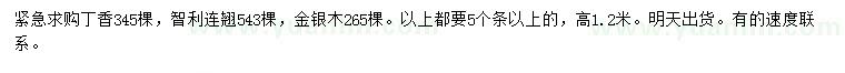 求購(gòu)丁香、智利連翹、金銀木