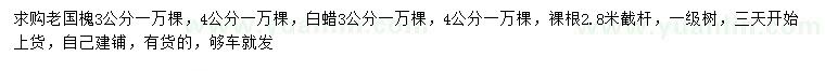 求購3、4公分老國槐、白蠟