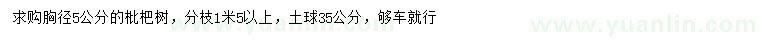 求購5公分枇杷樹