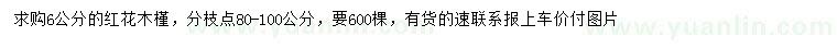 求購6公分紅花木槿