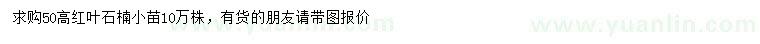 求購(gòu)高50公分紅葉石楠小苗