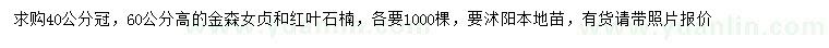 求購高60公分金森女貞、紅葉石楠
