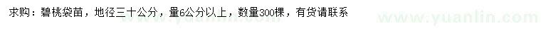 求購30量6公分以上碧桃