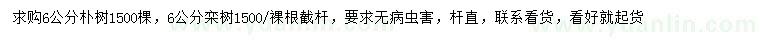 求購6公分樸樹、欒樹