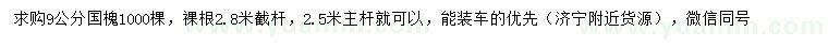 求購9公分國槐