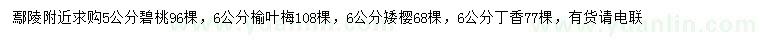 求購碧桃、榆葉梅、矮櫻等