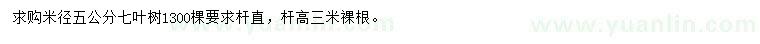 求購米徑5公分七葉樹