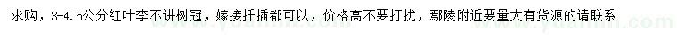 求購3-4.5公分紅葉李