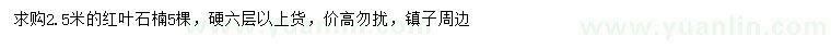 求購2.5米紅葉石楠
