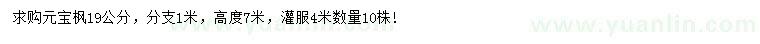 求購(gòu)19公分元寶楓