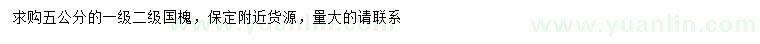 求購5公分國槐