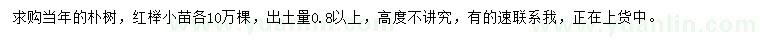 求購0.8公分以上樸樹、紅櫸小苗