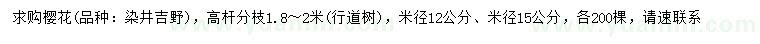 求購米徑12、15公分染井吉野櫻