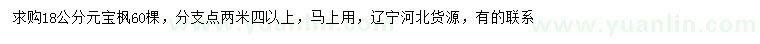 求購18公分元寶楓