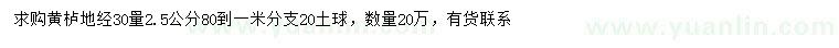 求購30量2.5公分黃櫨