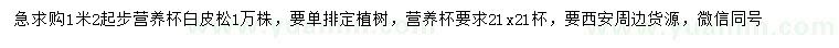 求購1.2米以上白皮松