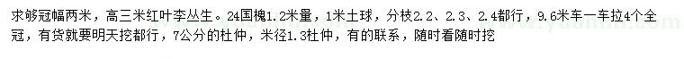 求購叢生紅葉李、國槐、杜仲